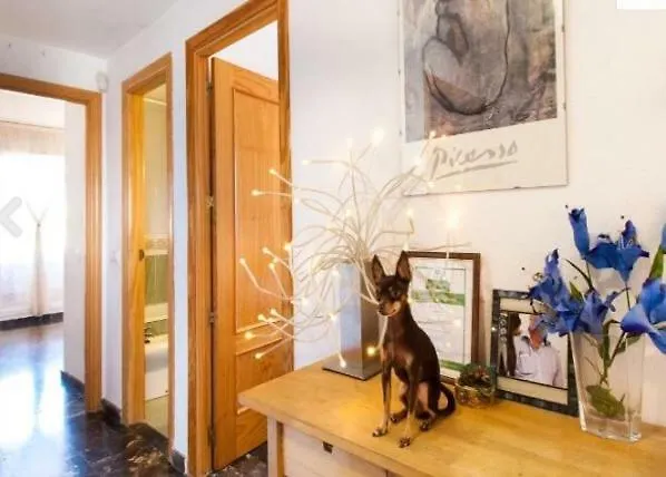 Penthouse With Private Roof Terrace And Jacuzzi Apartment Fuengirola
